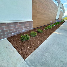 Professional-Mulch-Installation-Fast-Clean-Affordable 0